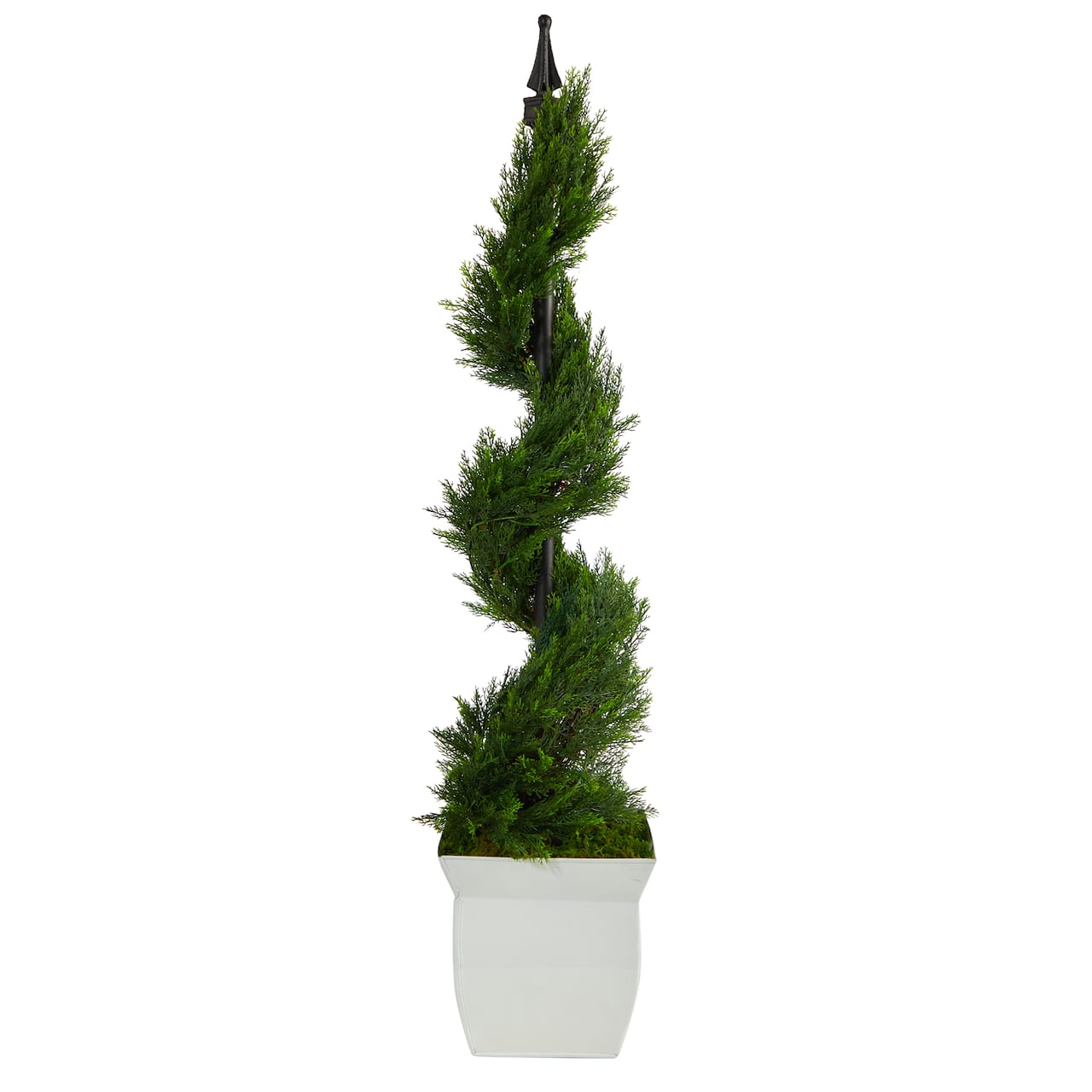 4ft. Spiral Cypress Topiary in White Metal Planter